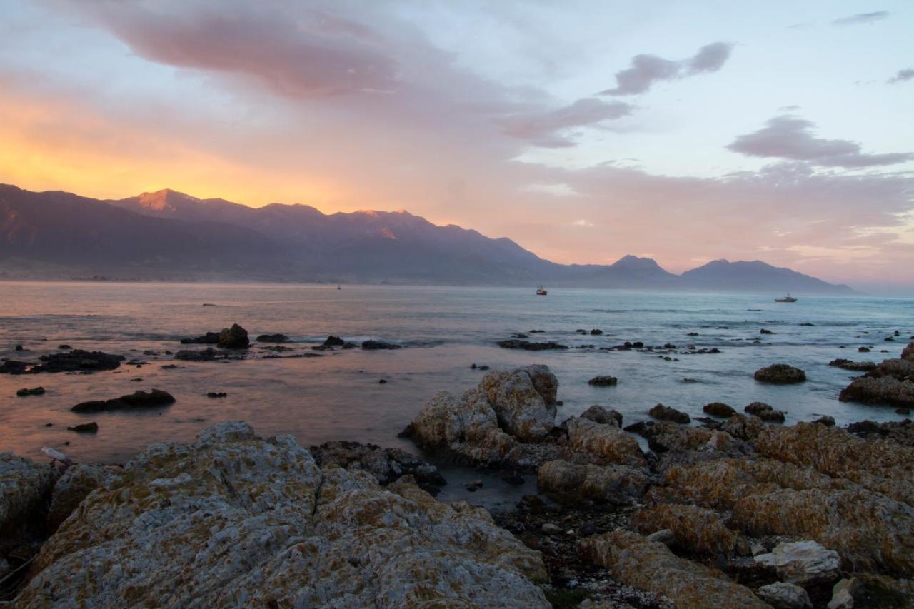 Kaikoura Sea Side lodge Bagian luar foto